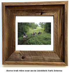 horse trail rides near me in Litchfield Park, Arizona